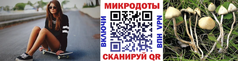 Псилоцибиновые грибы Cubensis  Ковдор 
